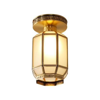 Ceiling Mount Light